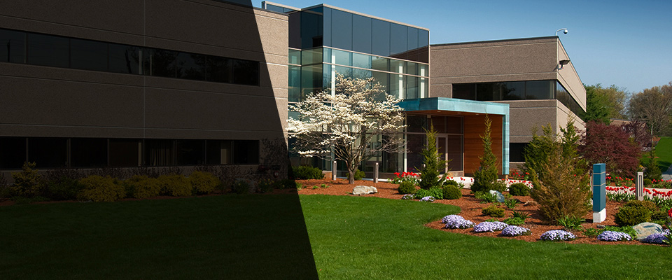 South Burlington Landscapers