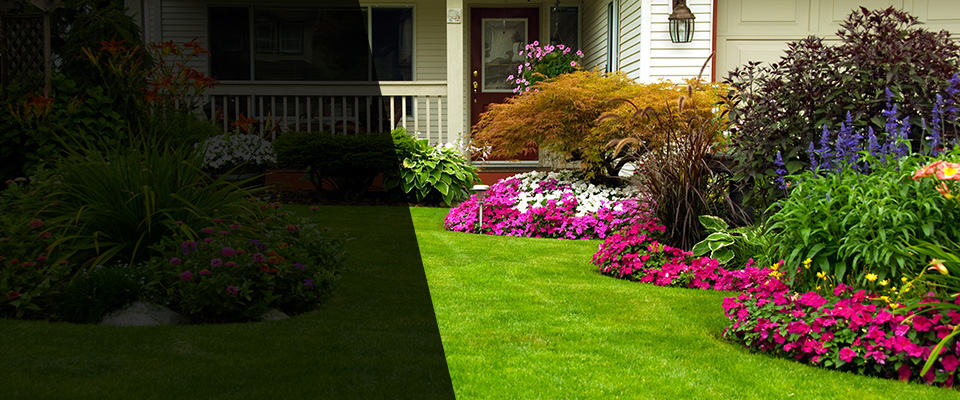 South Burlington Landscapers