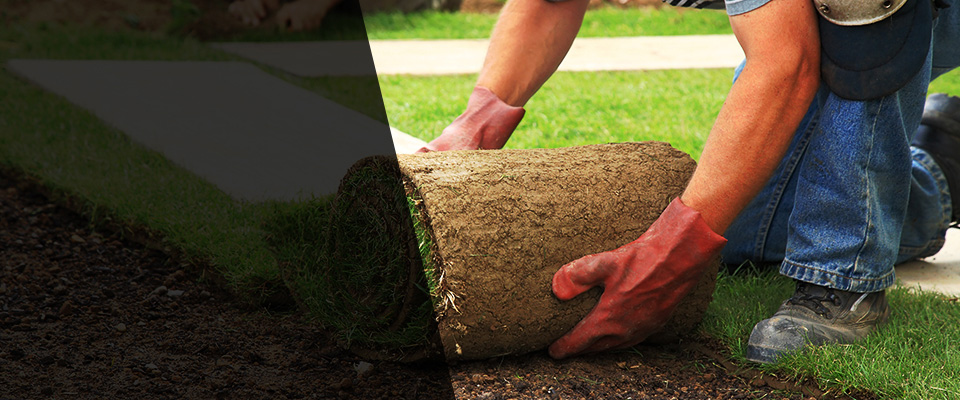 South Burlington Landscapers